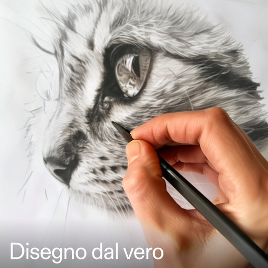 Disegno dal vero